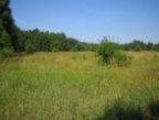 PROPERTY - NIERUCHOMOŚCI Zielona Góra